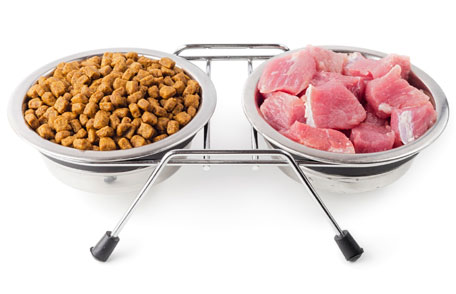 Pros & Cons Of Raw Dog Food