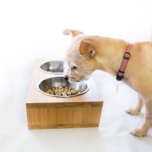 Dry Dog Food To Small Size Dogs