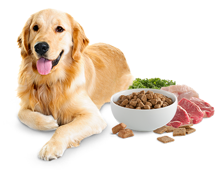 All Breeds Dog Food