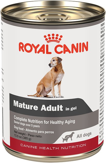 Royal Canin Mature Adult in Gel Canned Dog Food, 13.5-oz, case of 12