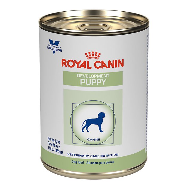 Royal Canin Veterinary Diet Development Puppy Canned Dog Food, 13.6-oz, case of 24