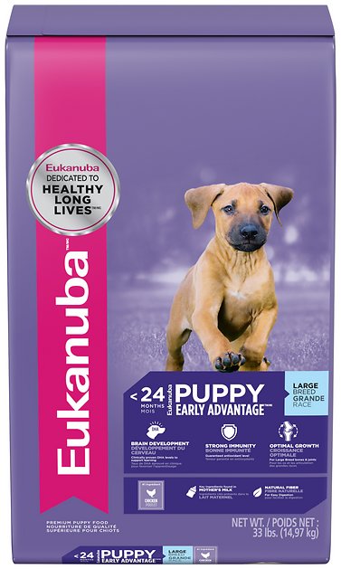 Eukanuba Large Breed Puppy Dry Dog Food