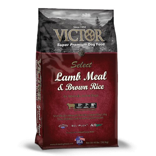 Victor Lamb Meal & Brown Rice Dry Dog Food