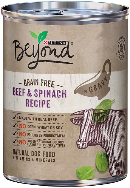 Purina Beyond Beef & Spinach Recipe in Gravy Grain-Free Canned Dog Food, 12.5-oz, case of 12