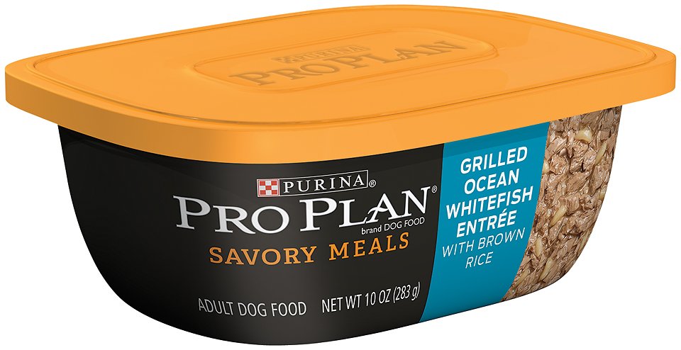 Purina Pro Plan Savory Meals Grilled Ocean Whitefish Entree with Brown Rice Wet Dog Food, 10-oz tub, case of 8